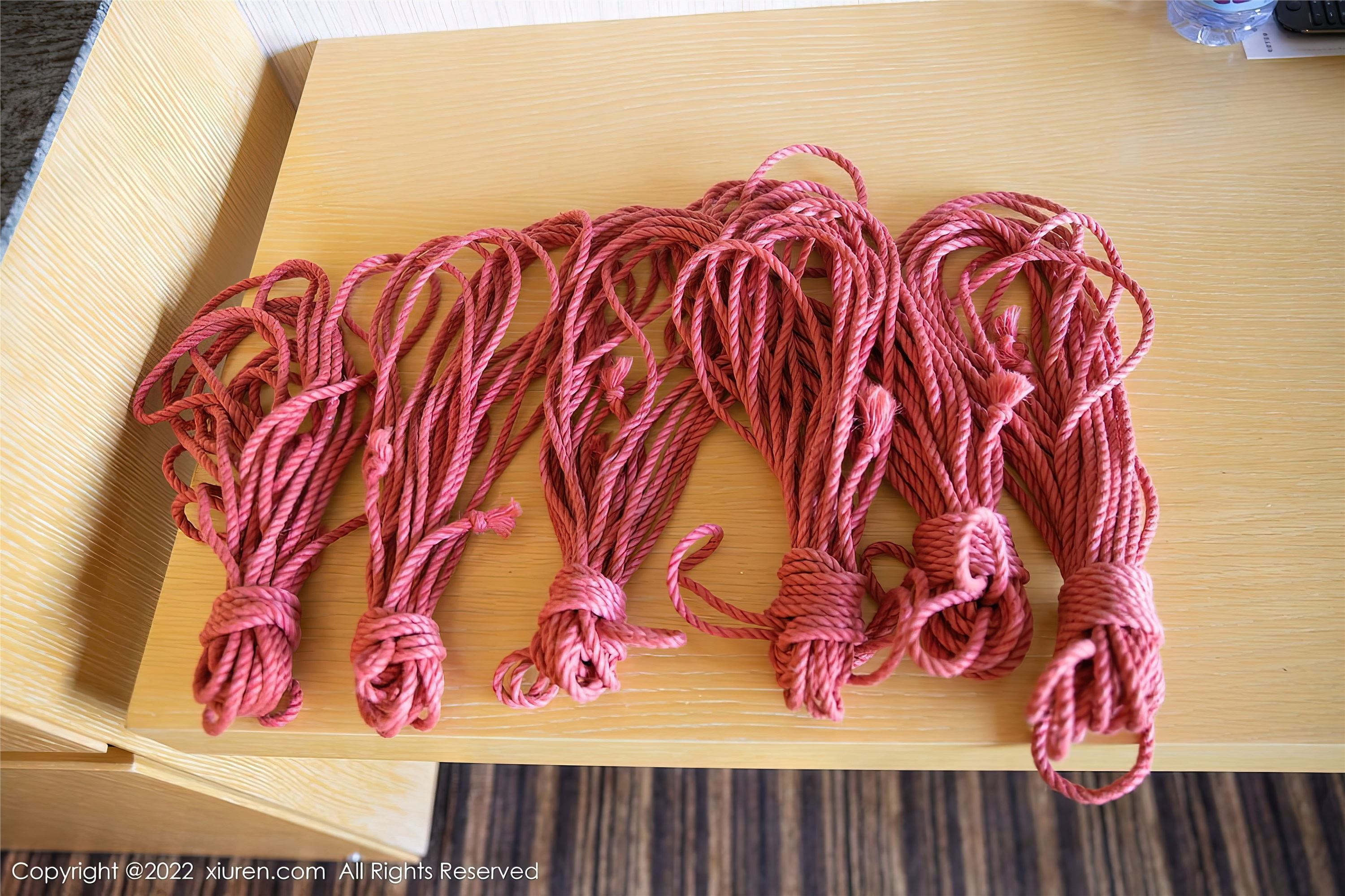 Xiuren秀人网 2022.11.25 NO.5910 就是阿朱啊